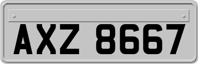 AXZ8667