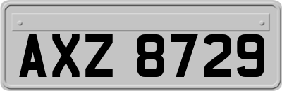 AXZ8729