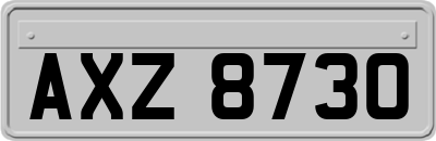 AXZ8730