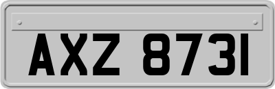 AXZ8731