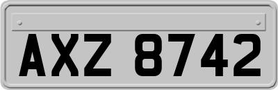 AXZ8742