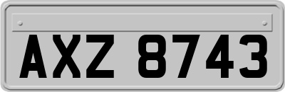 AXZ8743