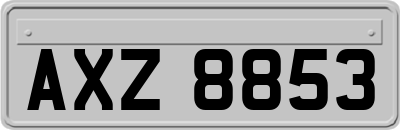 AXZ8853