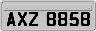AXZ8858