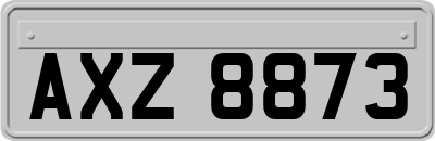 AXZ8873