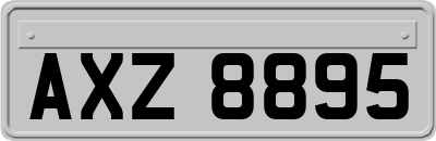 AXZ8895