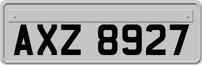AXZ8927