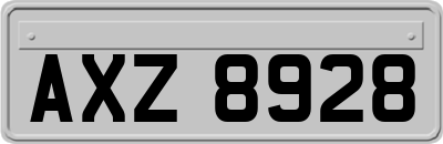 AXZ8928