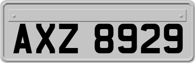 AXZ8929