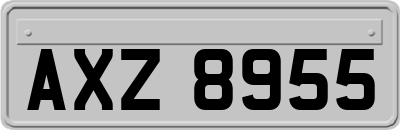 AXZ8955