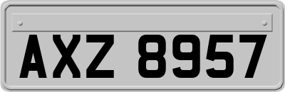 AXZ8957