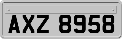 AXZ8958