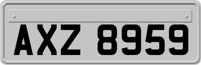 AXZ8959
