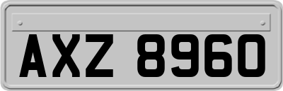 AXZ8960