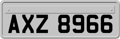 AXZ8966