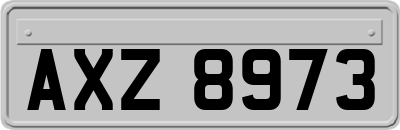 AXZ8973