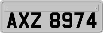 AXZ8974