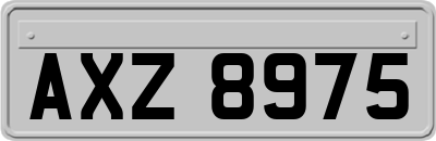 AXZ8975