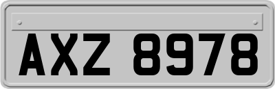 AXZ8978