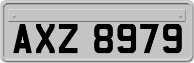 AXZ8979