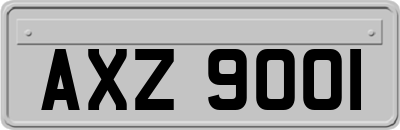 AXZ9001