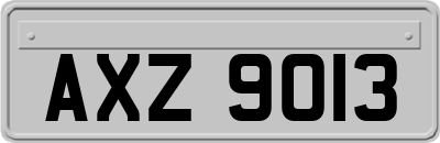 AXZ9013