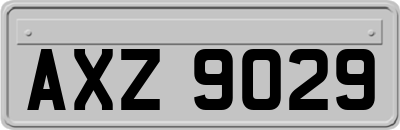 AXZ9029