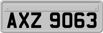 AXZ9063