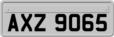 AXZ9065