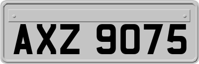 AXZ9075