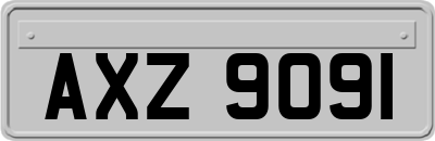 AXZ9091