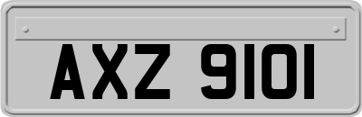 AXZ9101