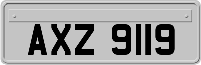 AXZ9119