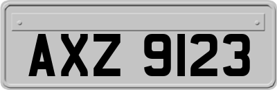 AXZ9123