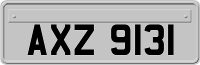 AXZ9131
