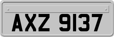 AXZ9137