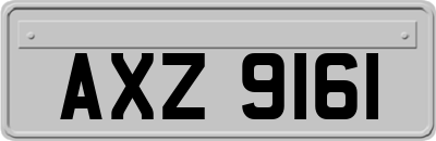 AXZ9161