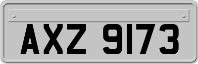 AXZ9173