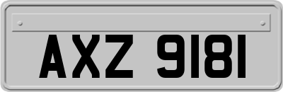 AXZ9181