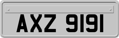 AXZ9191