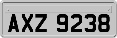 AXZ9238