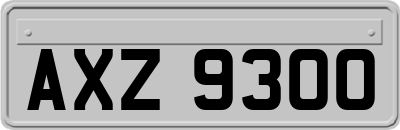 AXZ9300