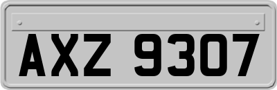 AXZ9307