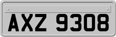 AXZ9308
