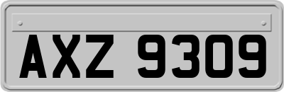 AXZ9309