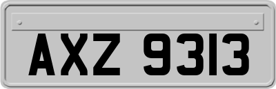 AXZ9313