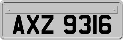 AXZ9316