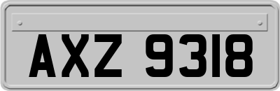 AXZ9318