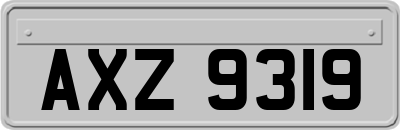 AXZ9319