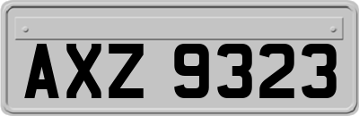 AXZ9323